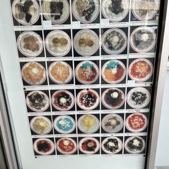 Ice Garden - Desserts Near Me - Aiea, Hawaii