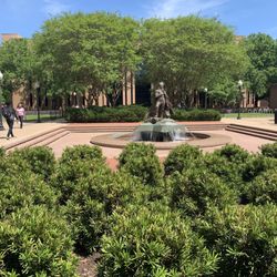 Stephen F Austin University - The campus