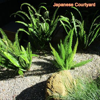 Actual Art Landscape Design - Various ferns add to the color scheme, a serene green. - Landscape Architects or Designers Near Me Actual Art Landscape Design - Various ferns add to the color scheme, a serene green. - Landscape Architects or Designers Near Me