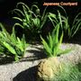 Photo of Actual Art Landscape Design