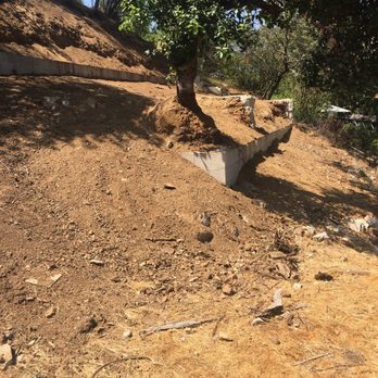 A-Industrial Design-Build - Remediated hillside with one of my favorite trees left in tact! - General Contractors Near Me - Los Angeles, California A-Industrial Design-Build - Remediated hillside with one of my favorite trees left in tact! - General Contractors Near Me - Los Angeles, California