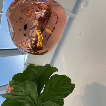 Miu's Tea - Bubble Tea Near Me - South Miami, Florida