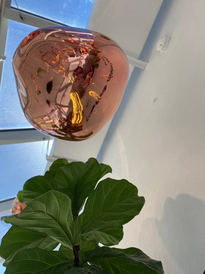 Miu’s Tea by null