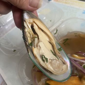 Ceviche Avenue - Peruvian Near Me - Hallandale Beach, Florida Ceviche Avenue - Peruvian Near Me - Hallandale Beach, Florida