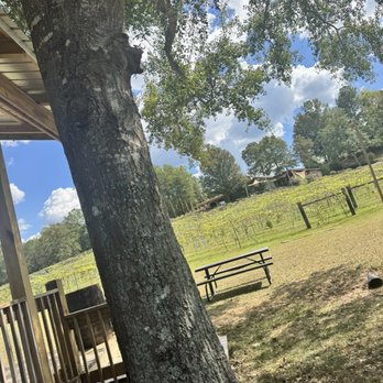 Ozan Vineyard & Winery - Vineyards - Wine Tours Near Me - Calera, Alabama Ozan Vineyard & Winery - Vineyards - Wine Tours Near Me - Calera, Alabama
