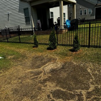 Arise and Shine Design - Tree and gate installed. - Landscaping Near Me