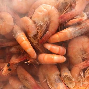 The Shack - Fresh louisiana shrimp - Cajun/Creole Near Me - Houma, Louisiana The Shack - Fresh louisiana shrimp - Cajun/Creole Near Me - Houma, Louisiana