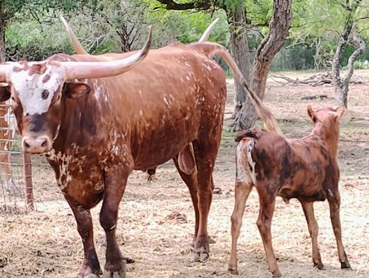 Dean's Heating & Air Conditioning