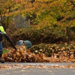 Los Hermanos Maintenance - Leaf clean up