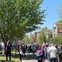 Photo of Easter on Parade