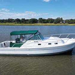 Above The Waterline