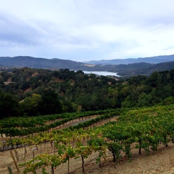 Amizetta Estate Winery - The view while you're tasting their amazing wine selection. Great spot! - Wineries Near Me - Saint Helena, California Amizetta Estate Winery - The view while you're tasting their amazing wine selection. Great spot! - Wineries Near Me - Saint Helena, California