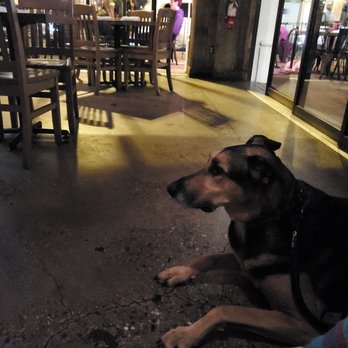 Eureka! - This be my boy. Mr.Darby - American Near Me - Santa Barbara, California