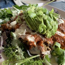 Mushroom enchilada