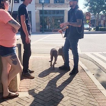K9 Justice - Pet Training Near Me - Toccoa, Georgia K9 Justice - Pet Training Near Me - Toccoa, Georgia