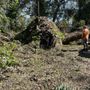 Photo of Time To Grind - Stump Grinding