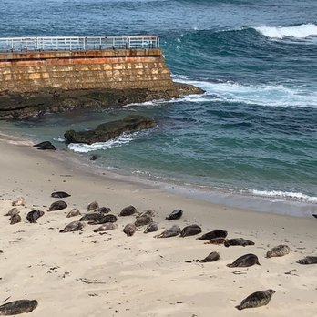We Love Tourists - Walking Tours Near Me - La Jolla, California We Love Tourists - Walking Tours Near Me - La Jolla, California