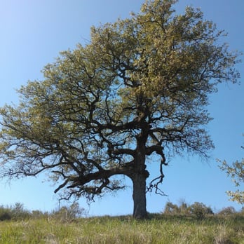 Daley Ranch - Hiking Near Me - Escondido, California Daley Ranch - Hiking Near Me - Escondido, California