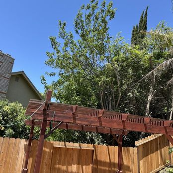 Antonio's Tree Trimming Service - Back fence cleared of overhanging branches. - Tree Services Near Me - Antioch, California Antonio's Tree Trimming Service - Back fence cleared of overhanging branches. - Tree Services Near Me - Antioch, California