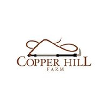 Applehead Design - Graphic Design Near Me - Elk Grove, California