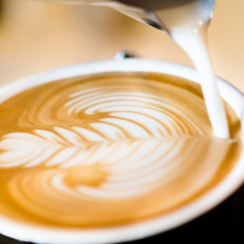 Cotto Espresso - Coffee & Tea Near Me - Glenelg, SA