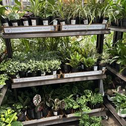 Lowe's Home Improvement