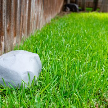 Georgetown Pest Control - Pest Control Near Me - Georgetown, Texas Georgetown Pest Control - Pest Control Near Me - Georgetown, Texas