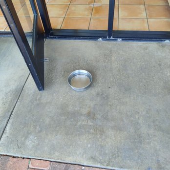 Blenders In the Grass - Water bowl for the furry Friends - Juice Bars & Smoothies Near Me - Oxnard, California