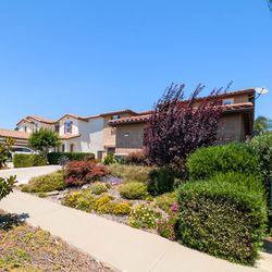 Cooley’s Property Maintenance - Front yard
