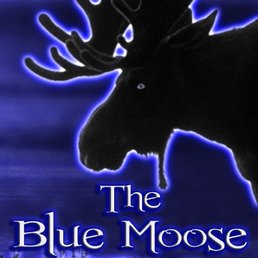 a moose in a top hat a moose in a top hat