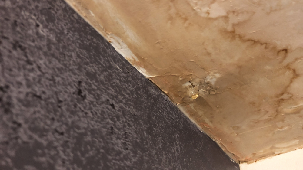 Slide of Florida Roofing and Gutters