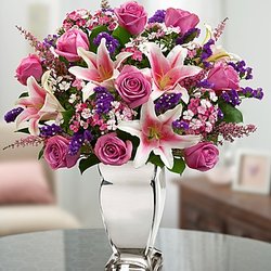 All Seasons Garden & Floral