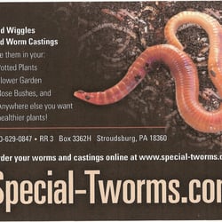 SpecialTworms - We sell red wiggly worms and worm castings please go to special - T worms.com