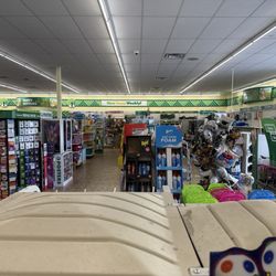 Dollar Tree