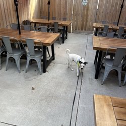 The Runaway Micropub and Nanobrewery