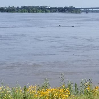 Tom Lee Park - Parks Near Me - Memphis, Tennessee Tom Lee Park - Parks Near Me - Memphis, Tennessee