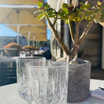 7 Enoteca - a plant in a pot and two glasses on a table - Italian Near Me - Oakville, Ontario