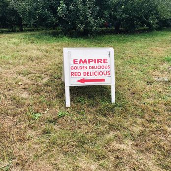 Battleview Orchards - Empire: Golden Delicious & Red Delicious - Pick Your Own Farms Near Me - Freehold, New Jersey