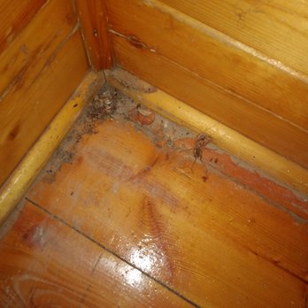Carlsbad Koa - Dust, rat droppings, cobwebs, and a dead insect - Campgrounds Near Me - Carlsbad, New Mexico
