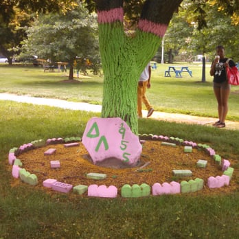 Delaware State University - Colleges & Universities Near Me - Dover, Delaware Delaware State University - Colleges & Universities Near Me - Dover, Delaware