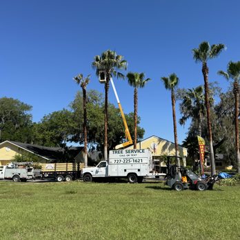 1. ASAP Crane and Tree Service