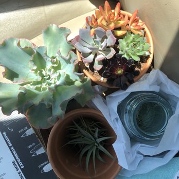 High Hand Nursery - Nurseries & Gardening Near Me - Loomis, California