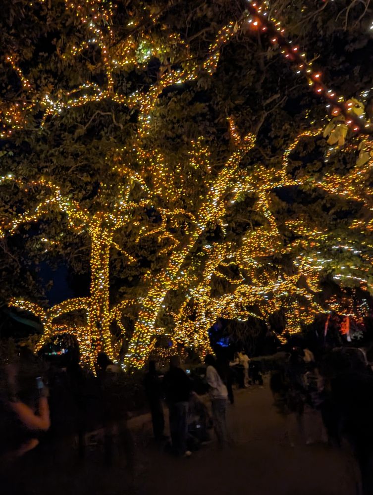 Slide of Window Wizards 