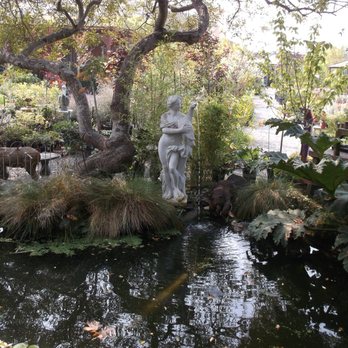 Pierson's Garden Shop & Nursery - Nurseries & Gardening Near Me - Eureka, California Pierson's Garden Shop & Nursery - Nurseries & Gardening Near Me - Eureka, California