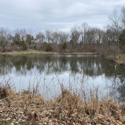 Clyde E Buckley Wildlife Sanctuary and Audubon Center