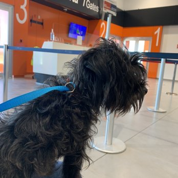 Aeropuerto de Tampico - Esperando para abordar - Airports Near Me - Tampico, TAM