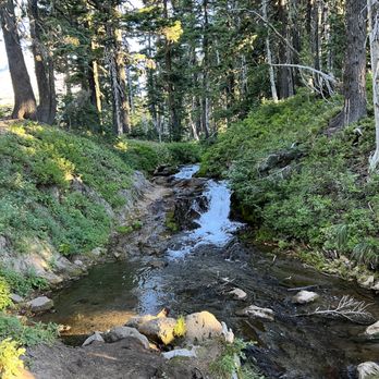 Umbrella Falls Trail - The stream that feeds Umbrella Falls. - Hiking Near Me - Mt Hood, Oregon