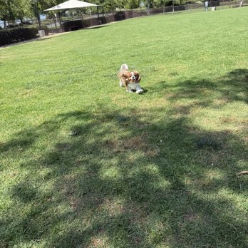 Wagsdale Dog Park - Lots of space to play fetch! - Dog Parks Near Me - Ladera Ranch, California Wagsdale Dog Park - Lots of space to play fetch! - Dog Parks Near Me - Ladera Ranch, California