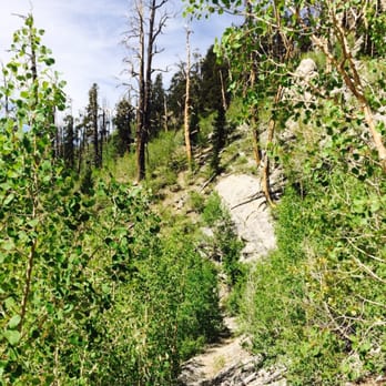 Mummy Mountain - Hiking Near Me - Mt Charleston, Nevada Mummy Mountain - Hiking Near Me - Mt Charleston, Nevada