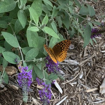 Elohee Center - Meditation Centers Near Me